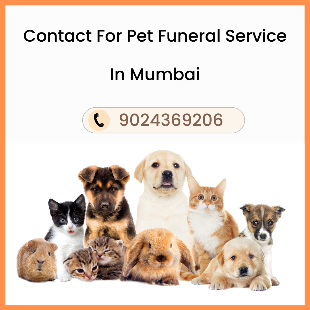 Pet Funeral Service Mumbai